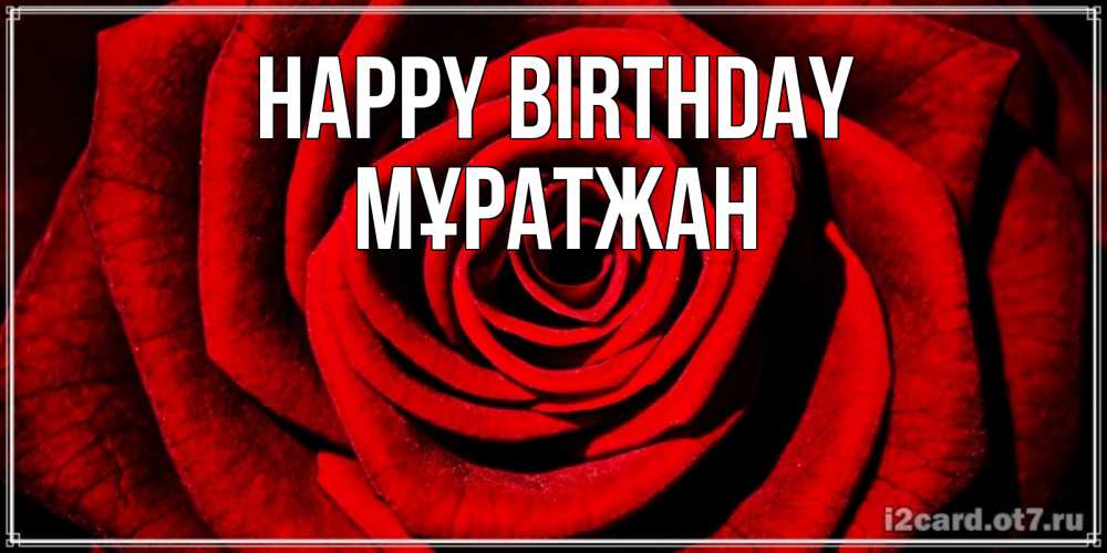 Greetings card с именем, Мұратжан Happy Birthday алая роза Greetings with text for free download 