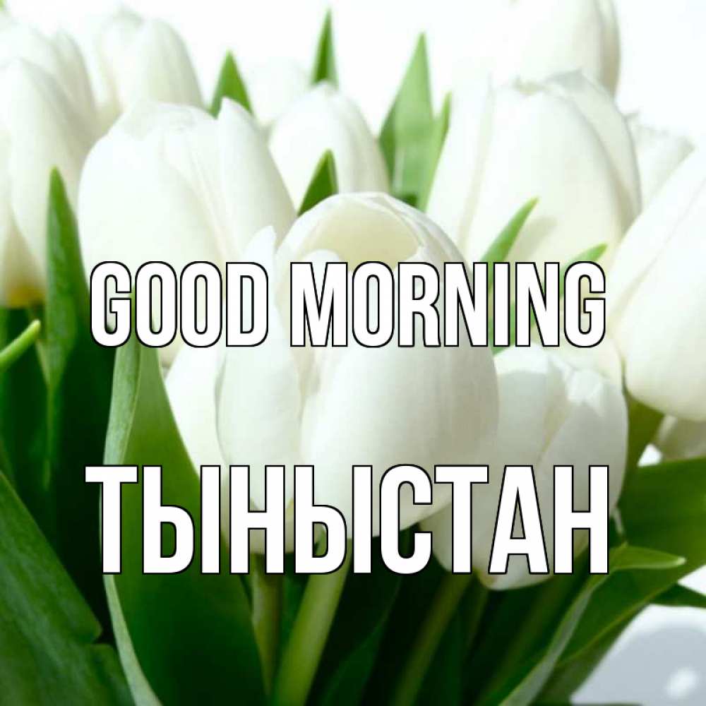 Greetings card с именем, ТЫНЫСТАН Good morning открытки на каждый день по именам Greetings with text for free download 