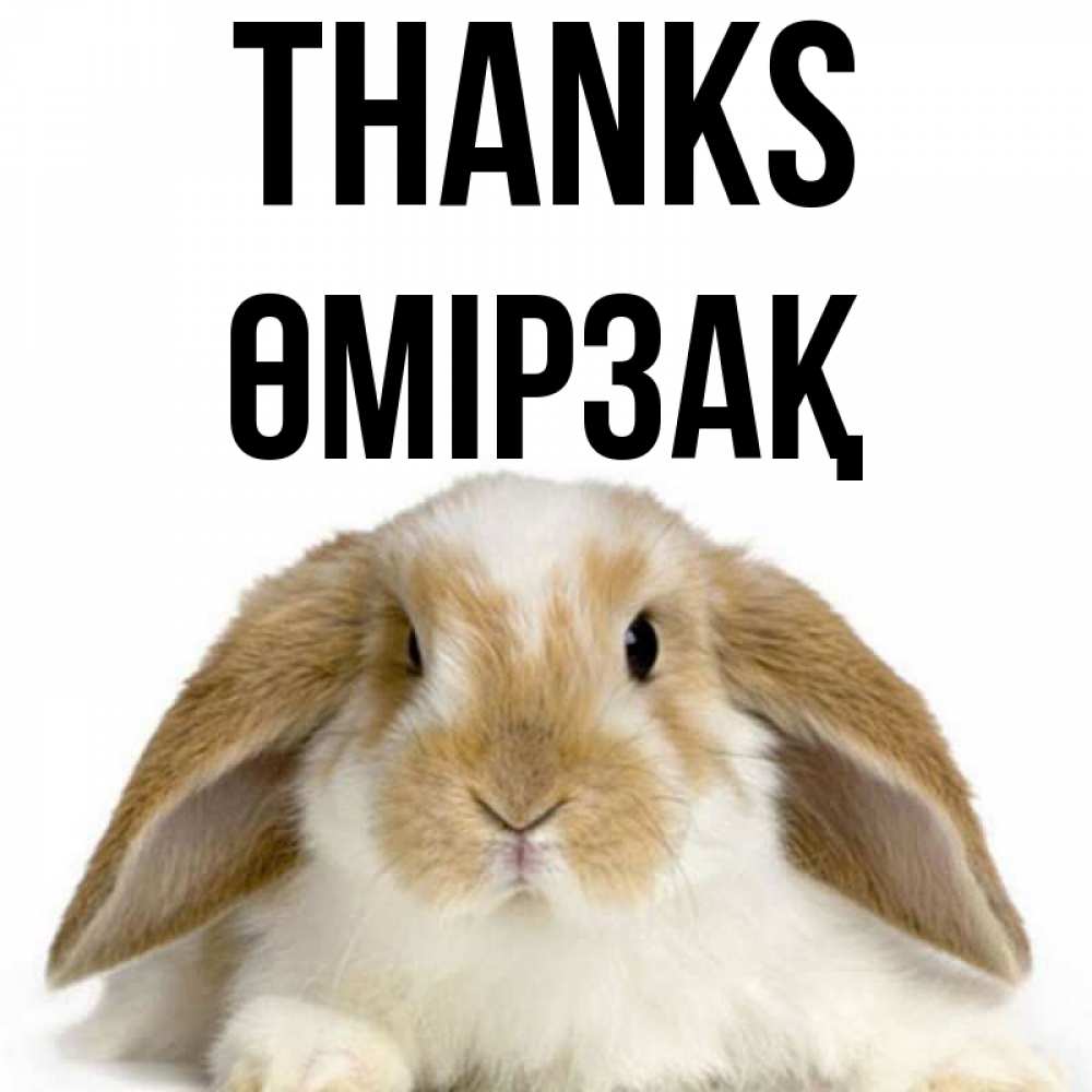 Greetings card с именем, ӨМІРЗАҚ Thanks коричнево белый заяц Greetings with text for free download 
