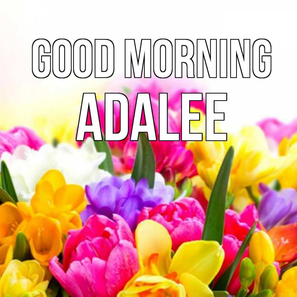 Greetings card с именем, Adalee Good morning создать открытку со свое подписью Greetings with text for free download 