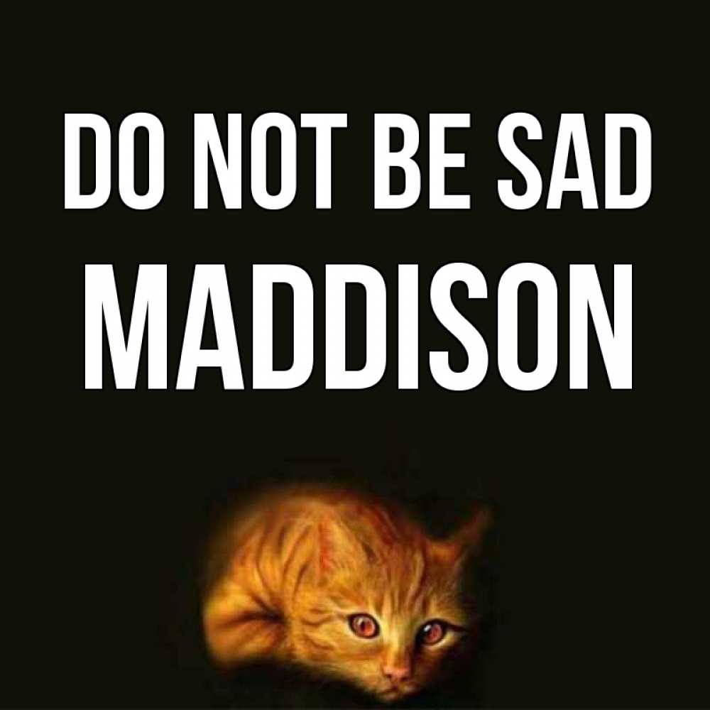 Greetings card с именем, Maddison Do not be sad лежащий кот в темноте Greetings with text for free download 