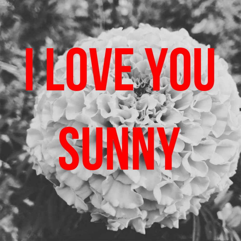 Greetings card с именем, Sunny I love you подпись Greetings with text for free download 
