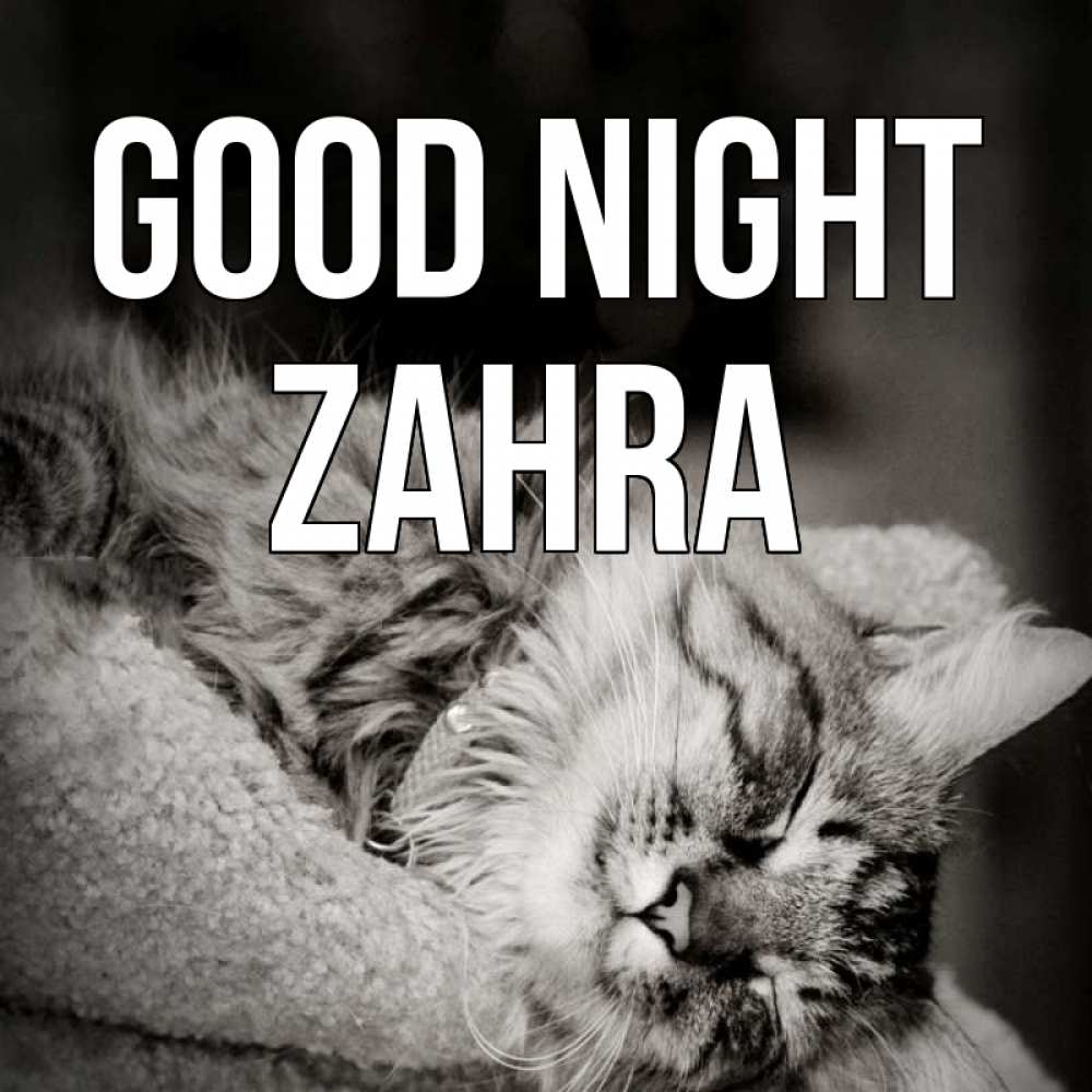 Greetings card с именем, Zahra Good night котярик пушистый Greetings with text for free download 