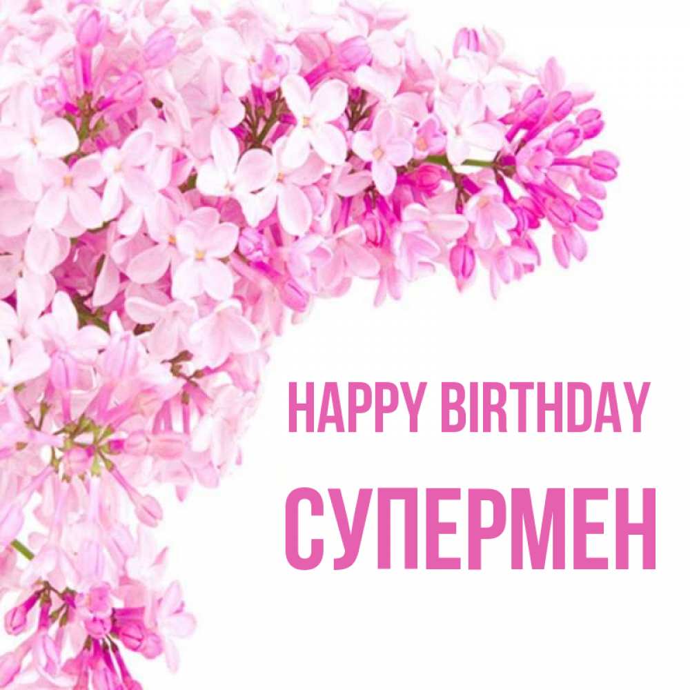 Greetings card с именем, Супермен Happy Birthday Сирень на белом фоне Greetings with text for free download 