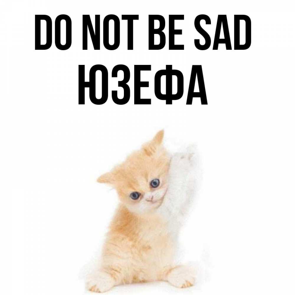 Greetings card с именем, Юзефа Do not be sad просящий кот Greetings with text for free download 