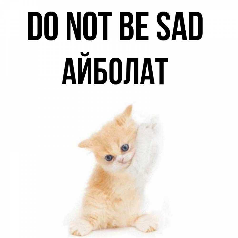 Greetings card с именем, Айболат Do not be sad просящий кот Greetings with text for free download 