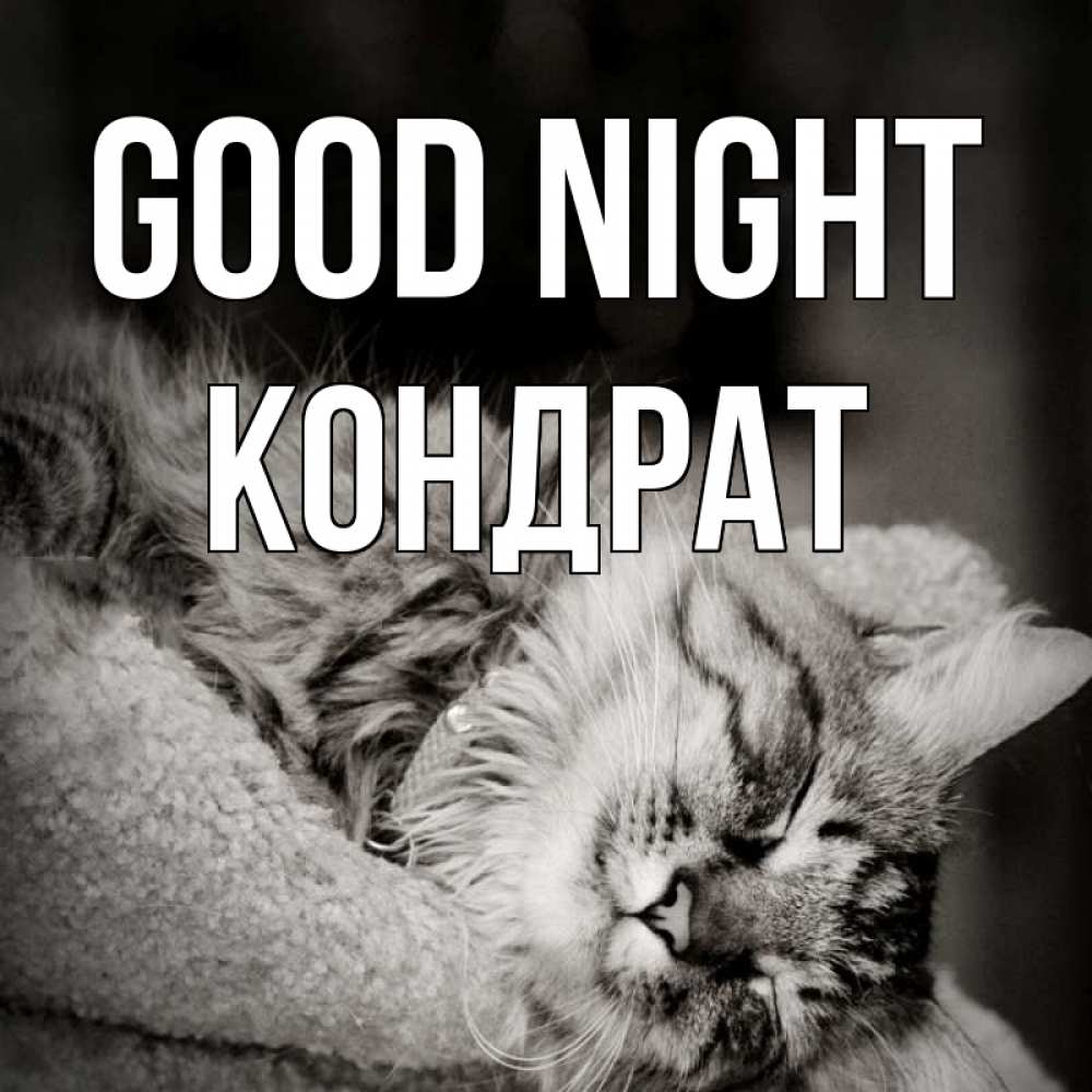 Greetings card с именем, Кондрат Good night котярик пушистый Greetings with text for free download 