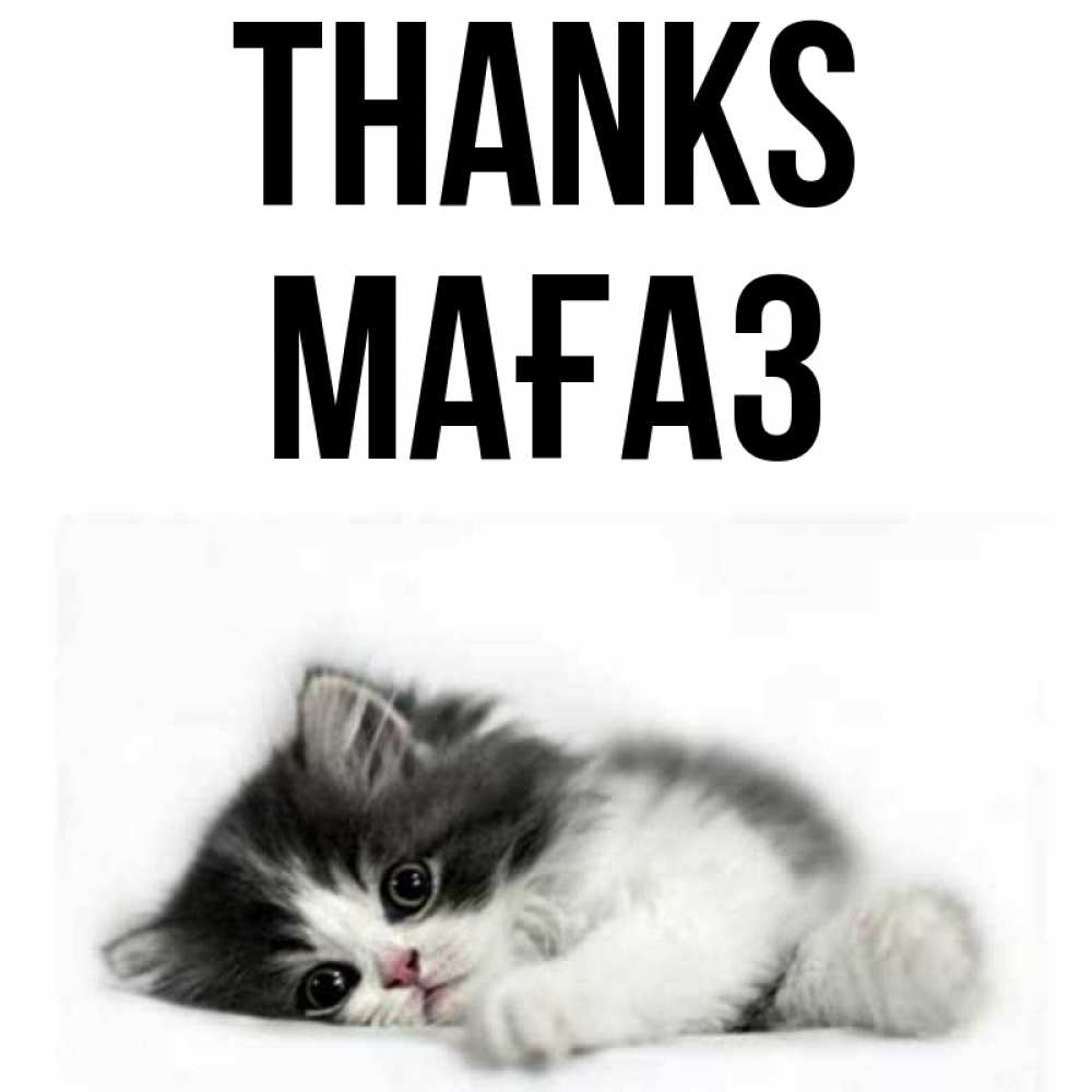 Greetings card с именем, МАҒАЗ Thanks черный и белый кот Greetings with text for free download 