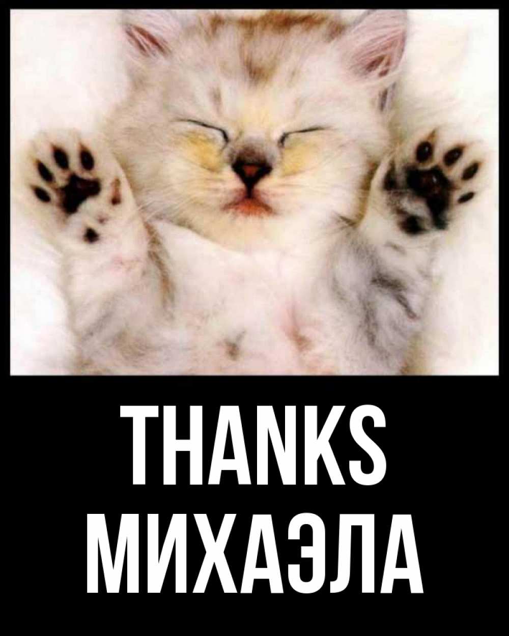 Greetings card с именем, Михаэла Thanks маленький котенок Greetings with text for free download 