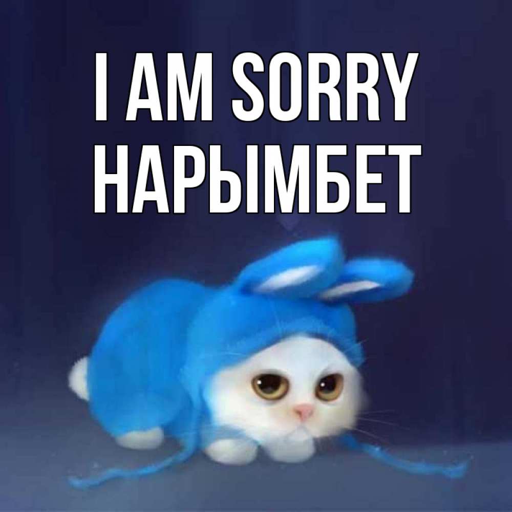 Greetings card с именем, Нарымбет I am sorry невинный котозай просит прощения Greetings with text for free download 