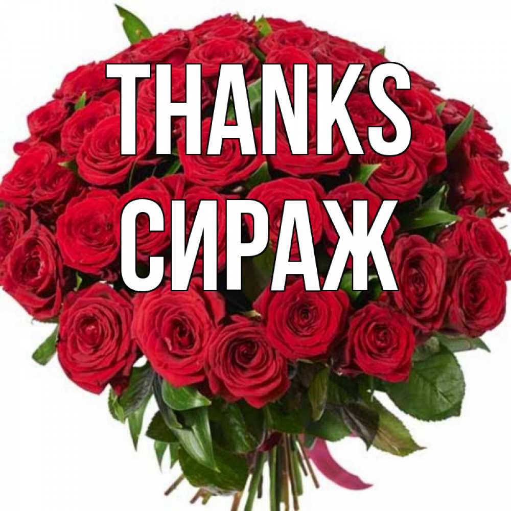 Greetings card с именем, СИРАЖ Thanks букет красных роз Greetings with text for free download 