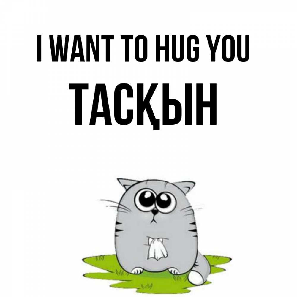 Greetings card с именем, ТАСҚЫН I want to hug you котик теребит платочек сидя на травке Greetings with text for free download 