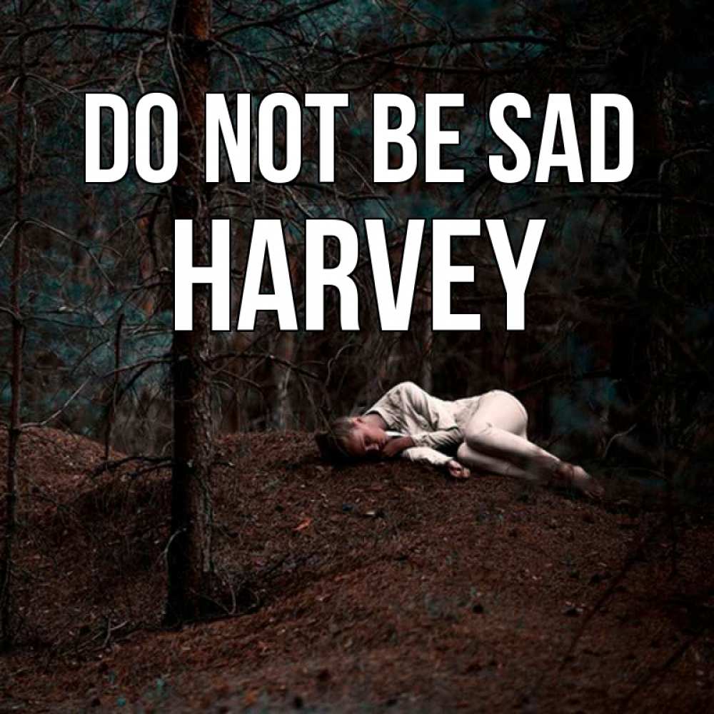 Greetings card с именем, Harvey Do not be sad лес Greetings with text for free download 