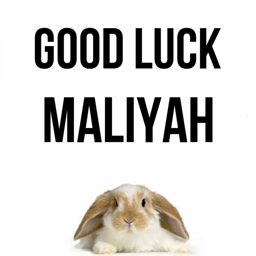 Greetings card с именем, Maliyah Good luck открытки с произвольным текстом который можно вставить в открытку и создать ее самостоятельно бесплатно онлайн Greetings with text for free download 
