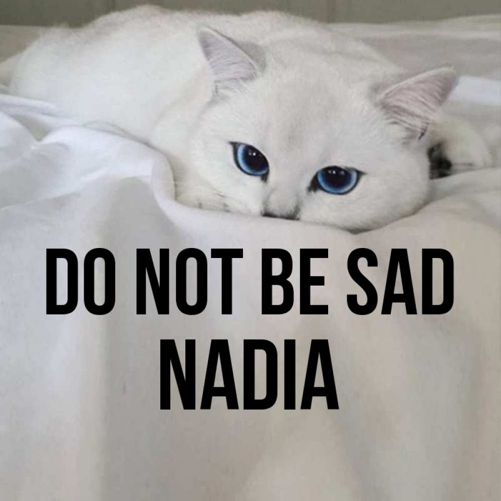 Greetings card с именем, Nadia Do not be sad Голубоглазая кошка Greetings with text for free download 