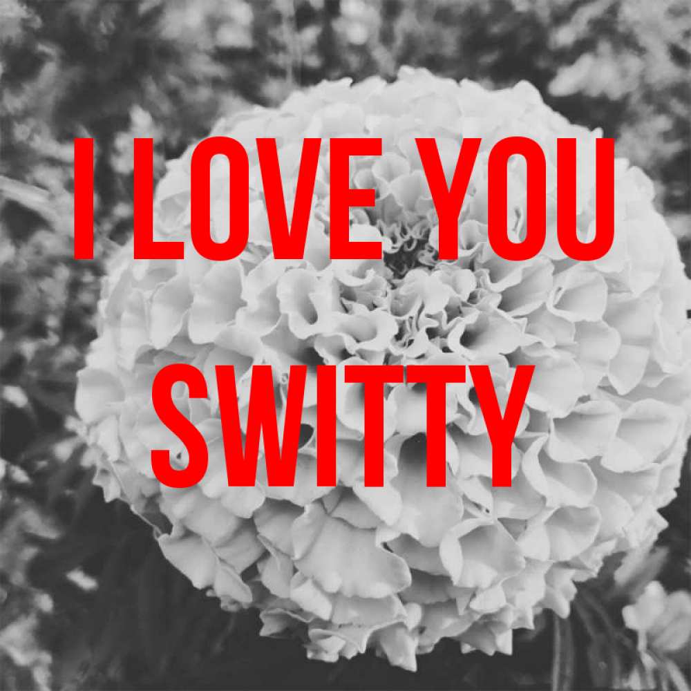 Greetings card с именем, switty I love you подпись Greetings with text for free download 