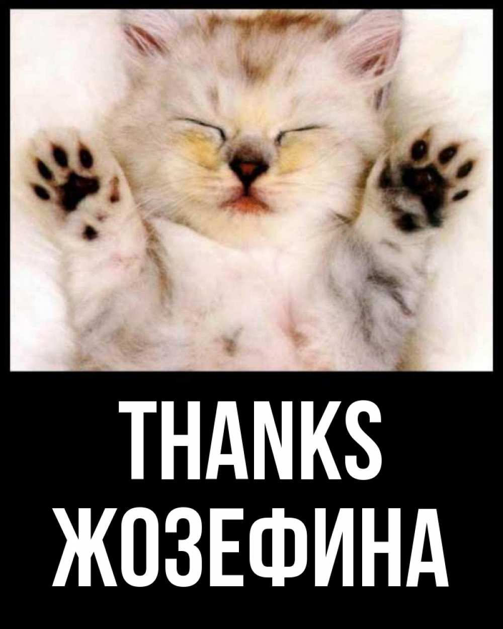 Greetings card с именем, Жозефина Thanks маленький котенок Greetings with text for free download 