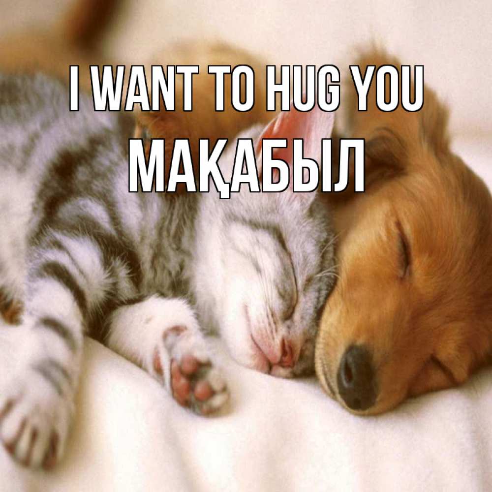 Greetings card с именем, МАҚАБЫЛ I want to hug you пес и котенок Greetings with text for free download 