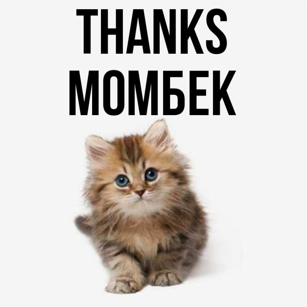 Greetings card с именем, МОМБЕК Thanks пушистый котик Greetings with text for free download 