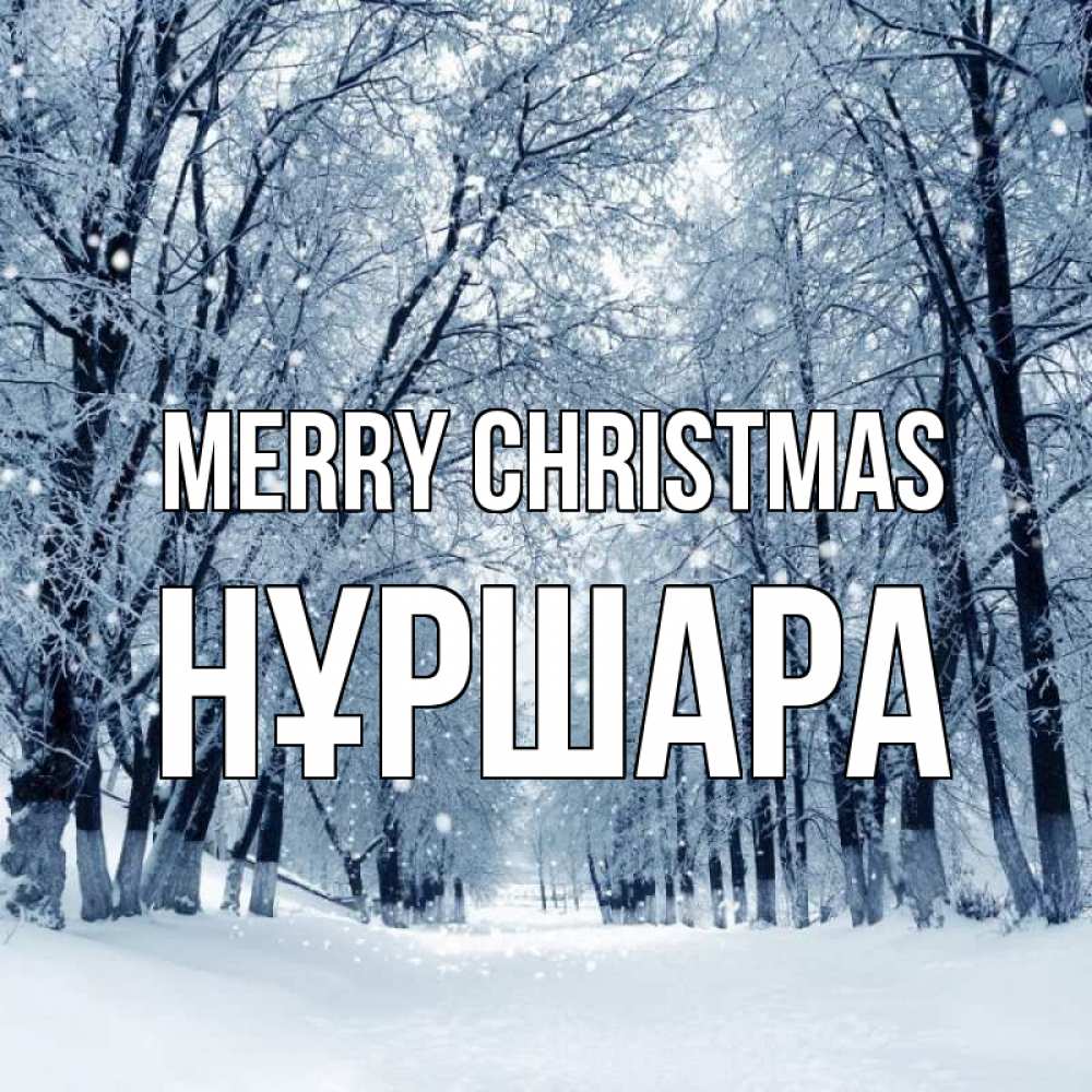 Greetings card с именем, НҰРШАРА Merry Christmas снег, лес, парк Greetings with text for free download 