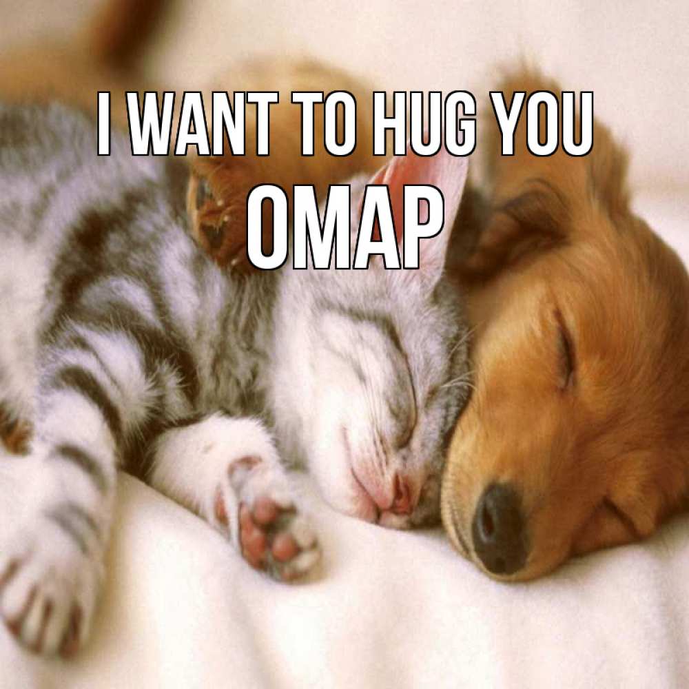 Greetings card с именем, ОМАР I want to hug you пес и котенок Greetings with text for free download 