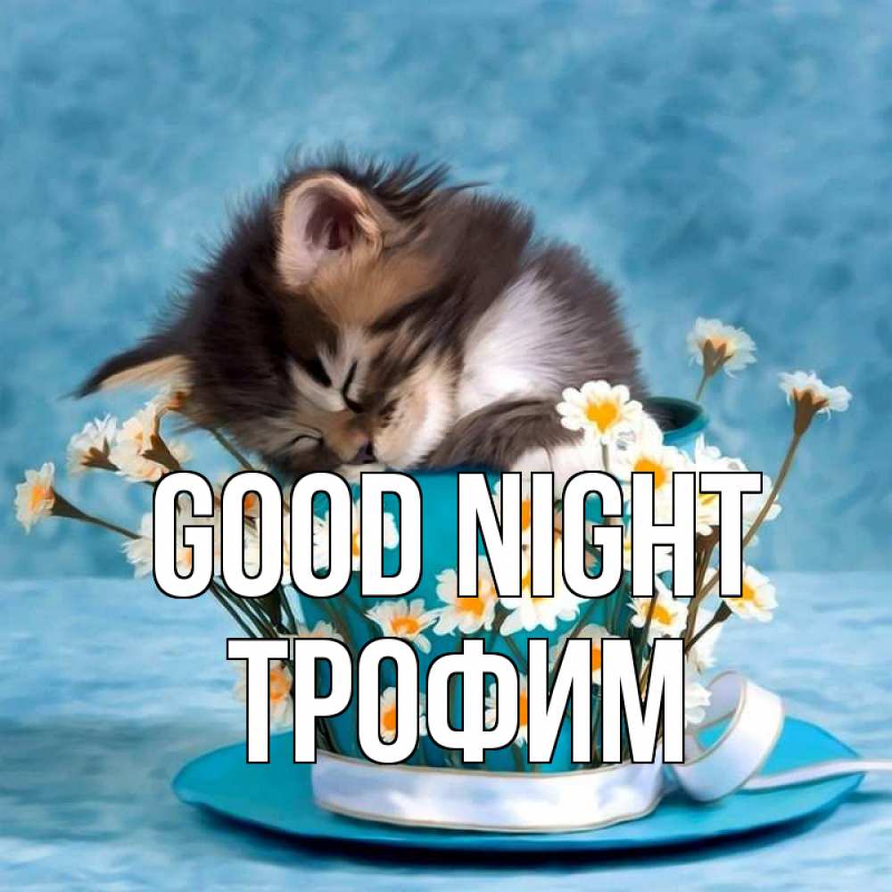 Greetings card с именем, Трофим Good night котенок спит в кружке с блюдцем Greetings with text for free download 
