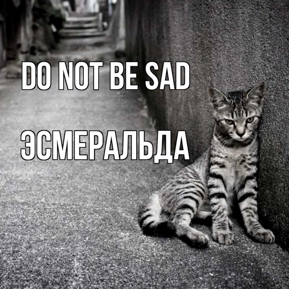 Greetings card с именем, Эсмеральда Do not be sad скучающий котик Greetings with text for free download 