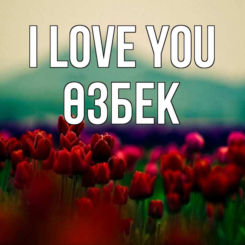 Greetings card с именем, ӨЗБЕК I love you тюльпаны 4 Greetings with text for free download 