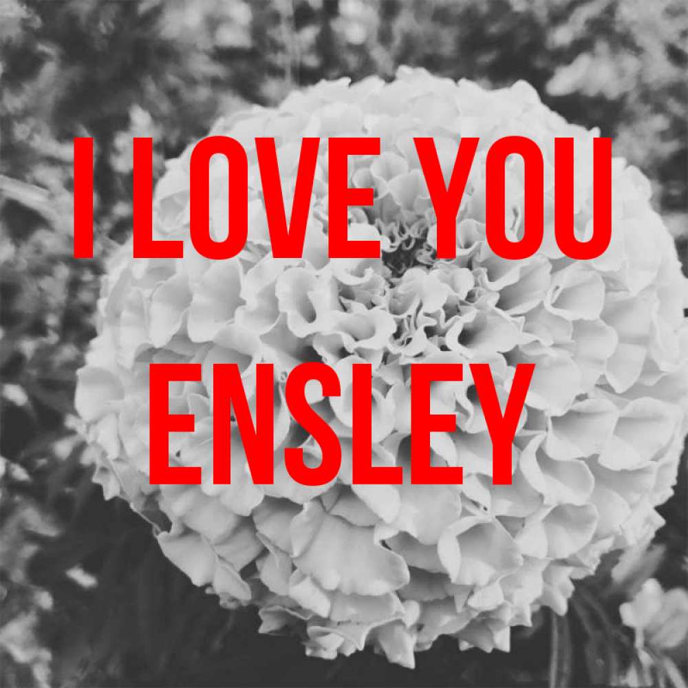 Greetings card с именем, Ensley I love you подпись Greetings with text for free download 