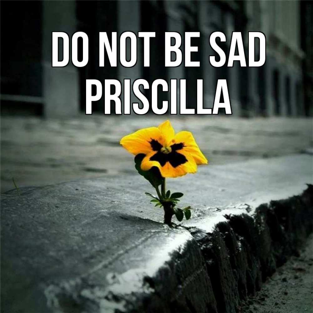Greetings card с именем, Priscilla Do not be sad не сдавайся Greetings with text for free download 