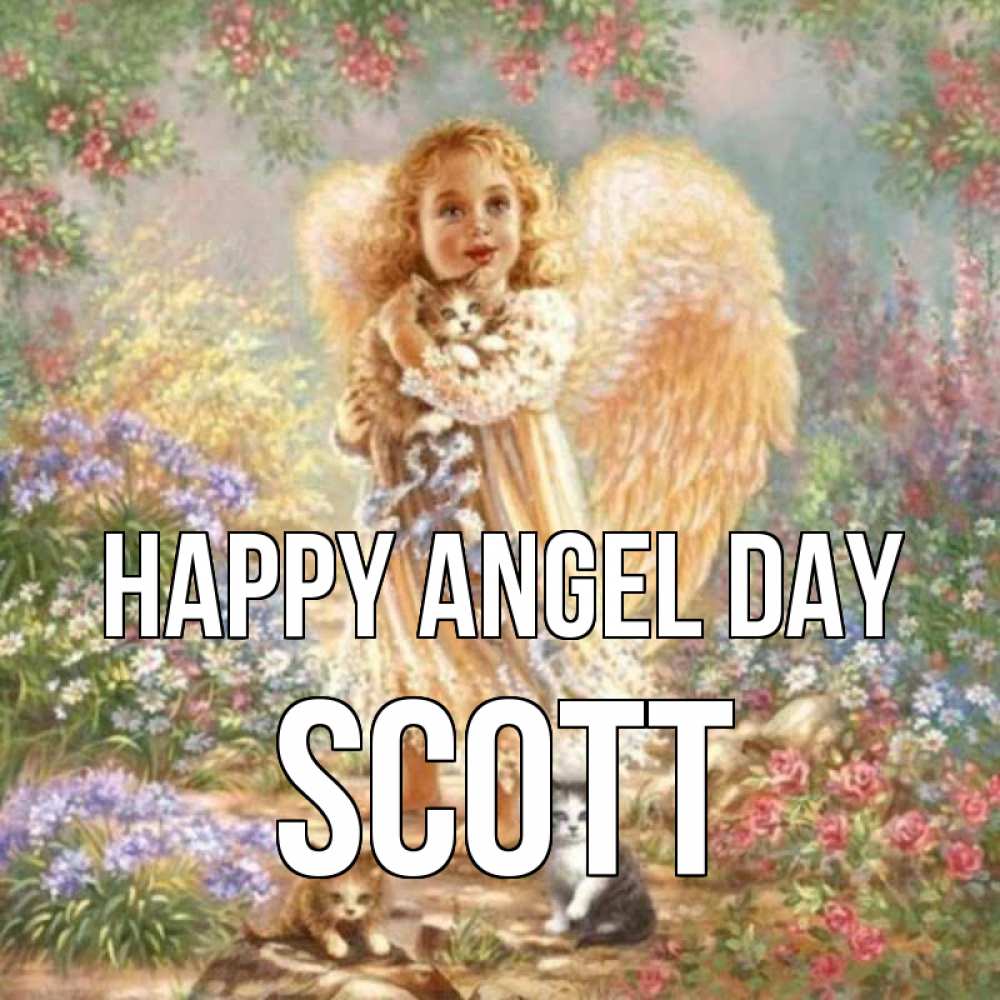 Greetings card с именем, Scott happy angel day держит котенка Greetings with text for free download 