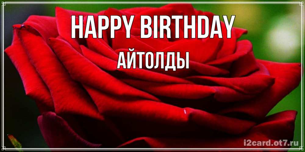 Greetings card с именем, АЙТОЛДЫ Happy Birthday розочка очень красивая Greetings with text for free download 