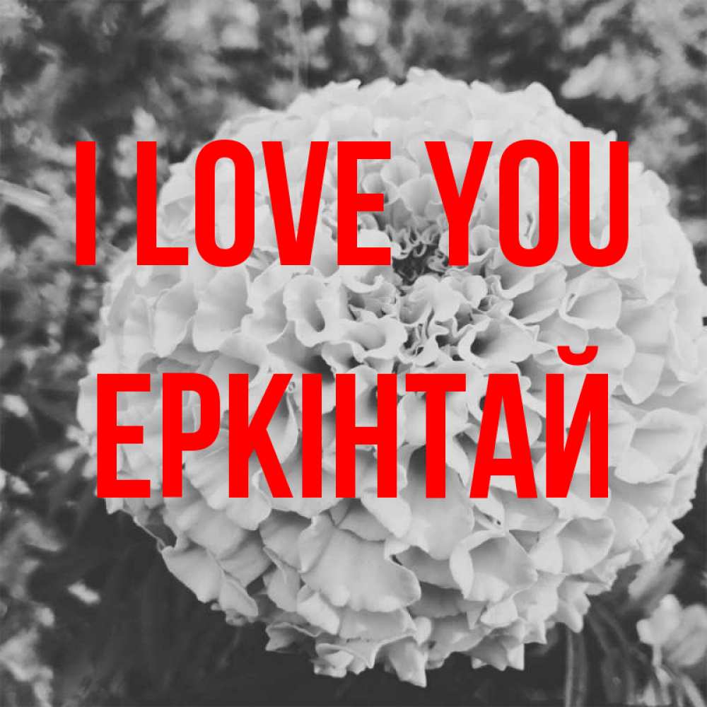 Greetings card с именем, Еркінтай I love you подпись Greetings with text for free download 