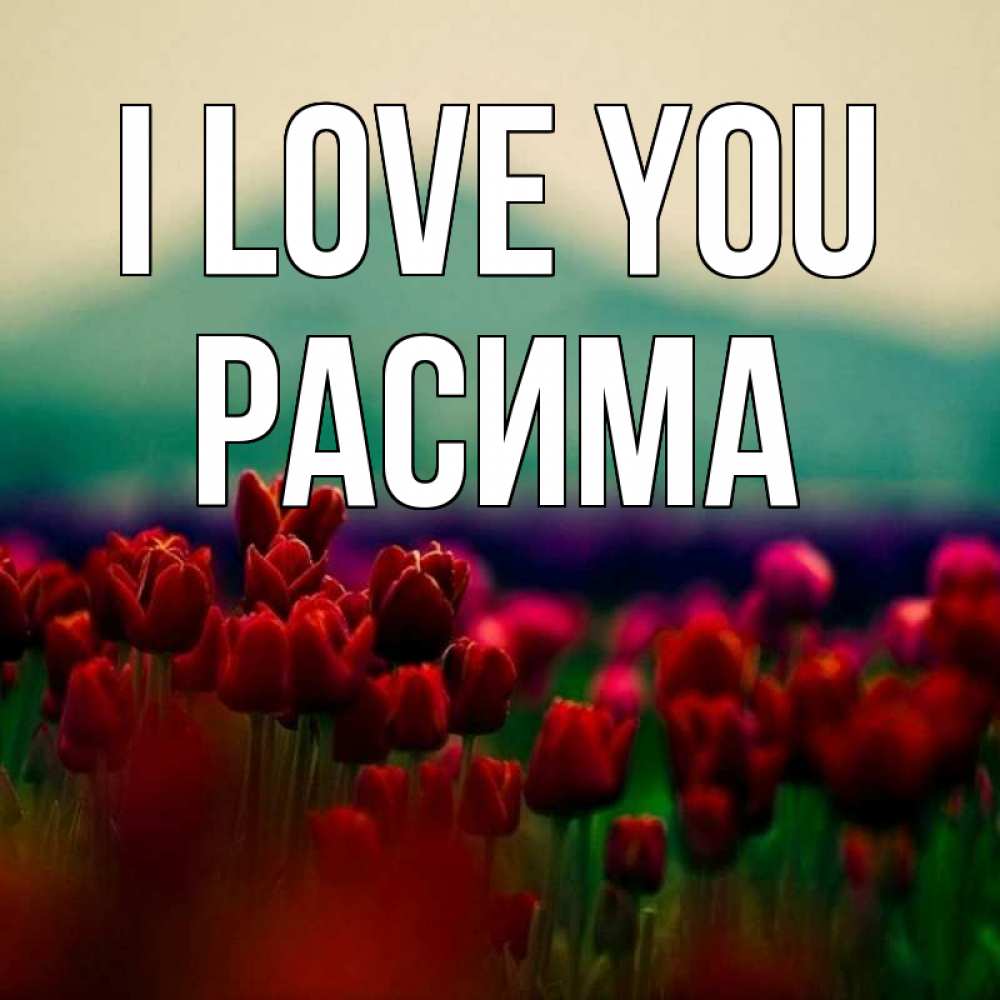 Greetings card с именем, РАСИМА I love you тюльпаны 4 Greetings with text for free download 