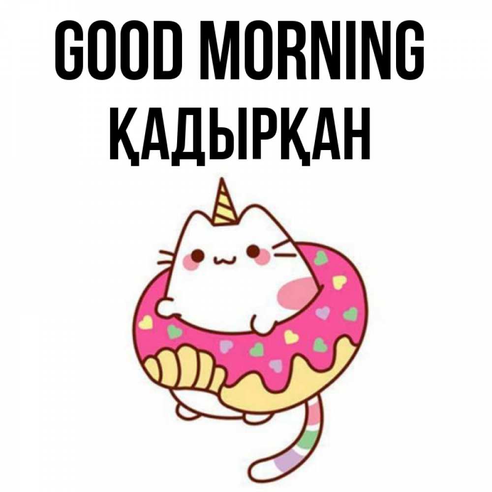Greetings card с именем, Қадырқан Good morning кот в бублике Greetings with text for free download 