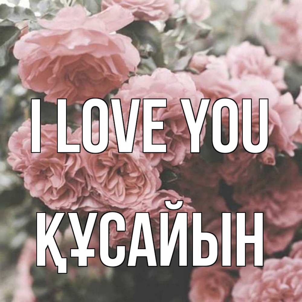 Greetings card с именем, ҚҰСАЙЫН I love you розы 3 Greetings with text for free download 