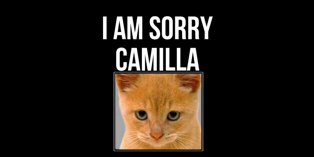 Greetings card с именем, Camilla I am sorry рыжий грустный кот просит прощения Greetings with text for free download 
