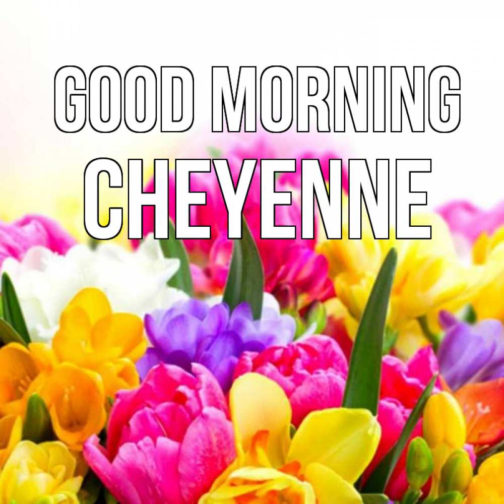 Greetings card с именем, Cheyenne Good morning создать открытку со свое подписью Greetings with text for free download 