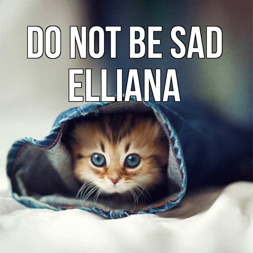 Greetings card с именем, Elliana Do not be sad кот в одежде Greetings with text for free download 