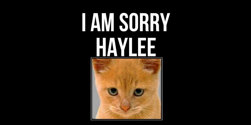 Greetings card с именем, Haylee I am sorry рыжий грустный кот просит прощения Greetings with text for free download 