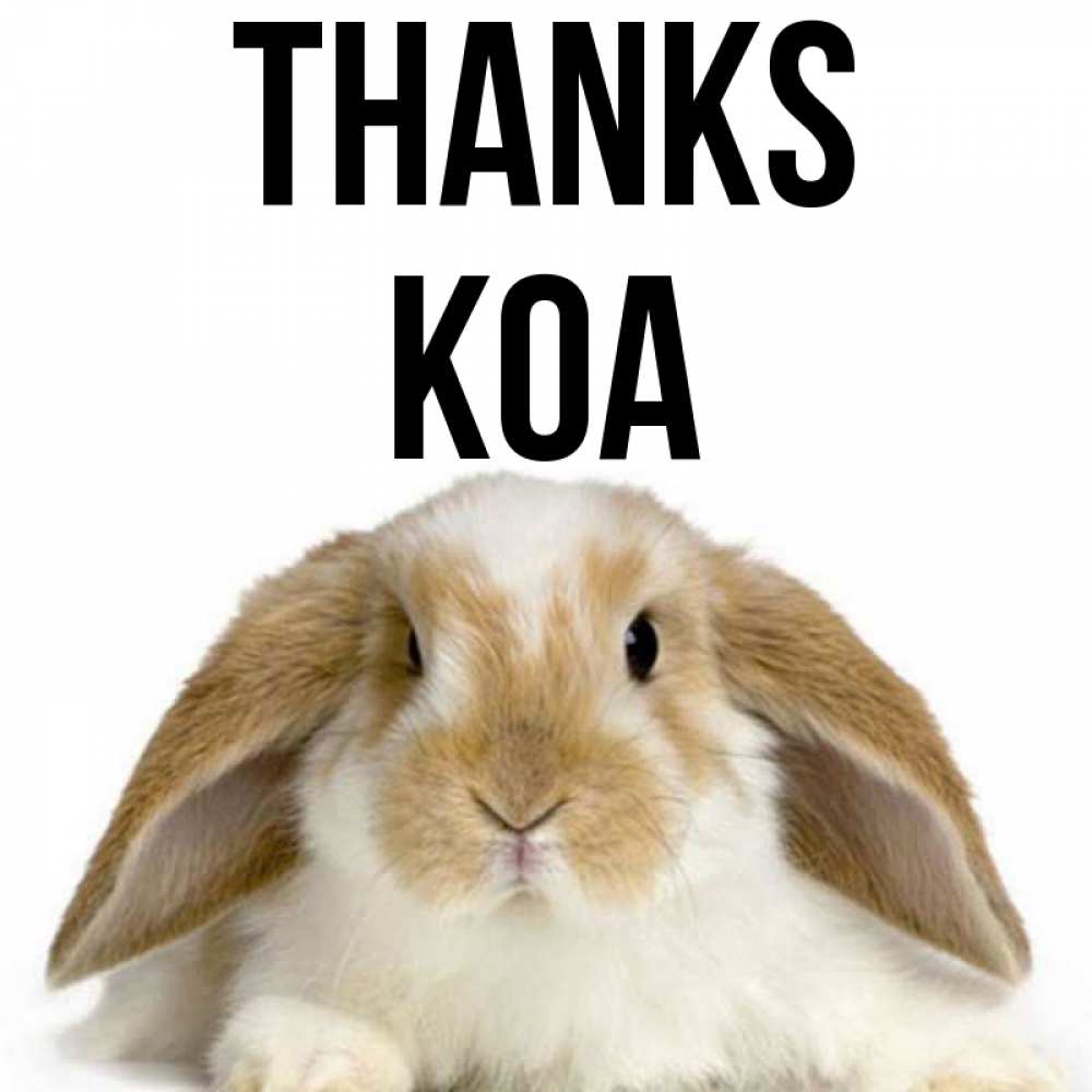 Greetings card с именем, Koa Thanks коричнево белый заяц Greetings with text for free download 