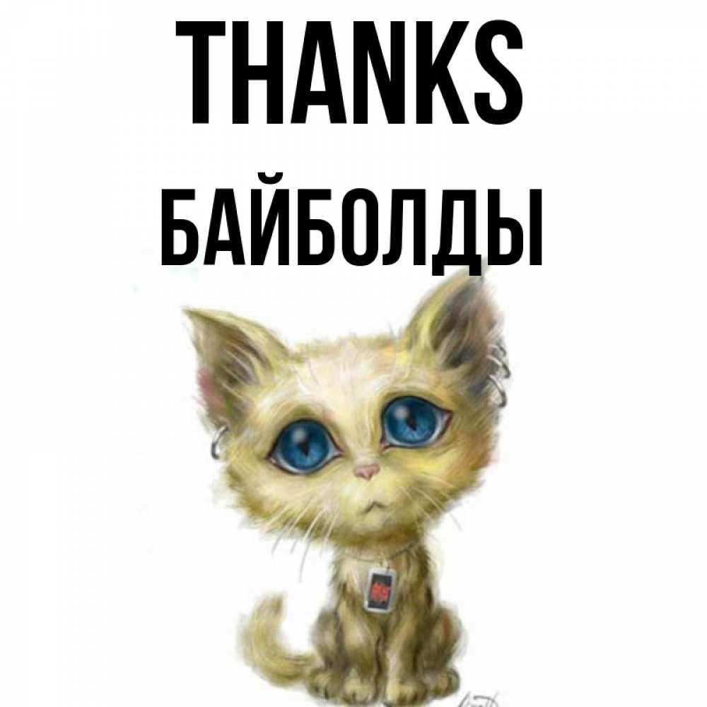 Greetings card с именем, Байболды Thanks рисованный кот благодарит вас Greetings with text for free download 