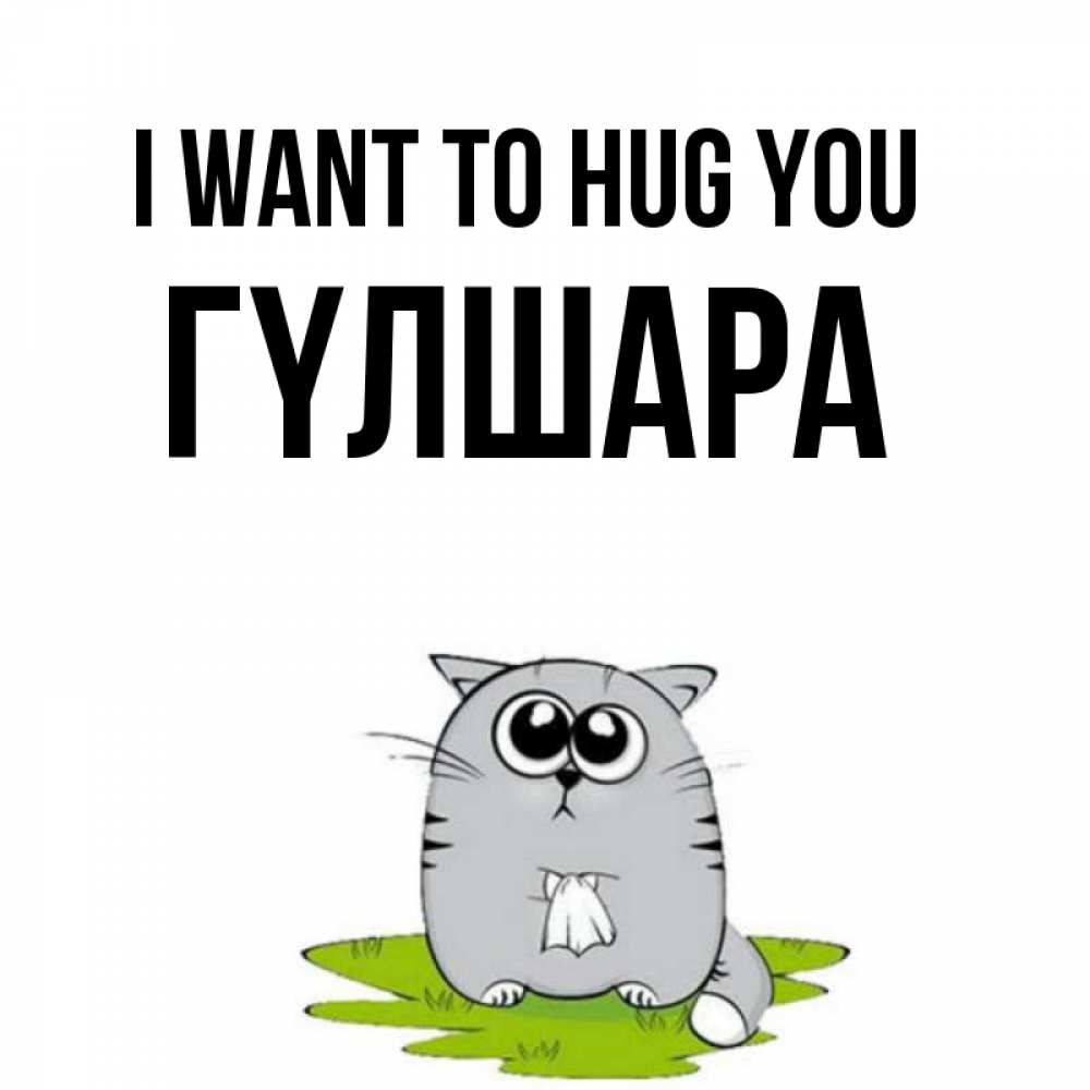 Greetings card с именем, ГҮЛШАРА I want to hug you котик теребит платочек сидя на травке Greetings with text for free download 