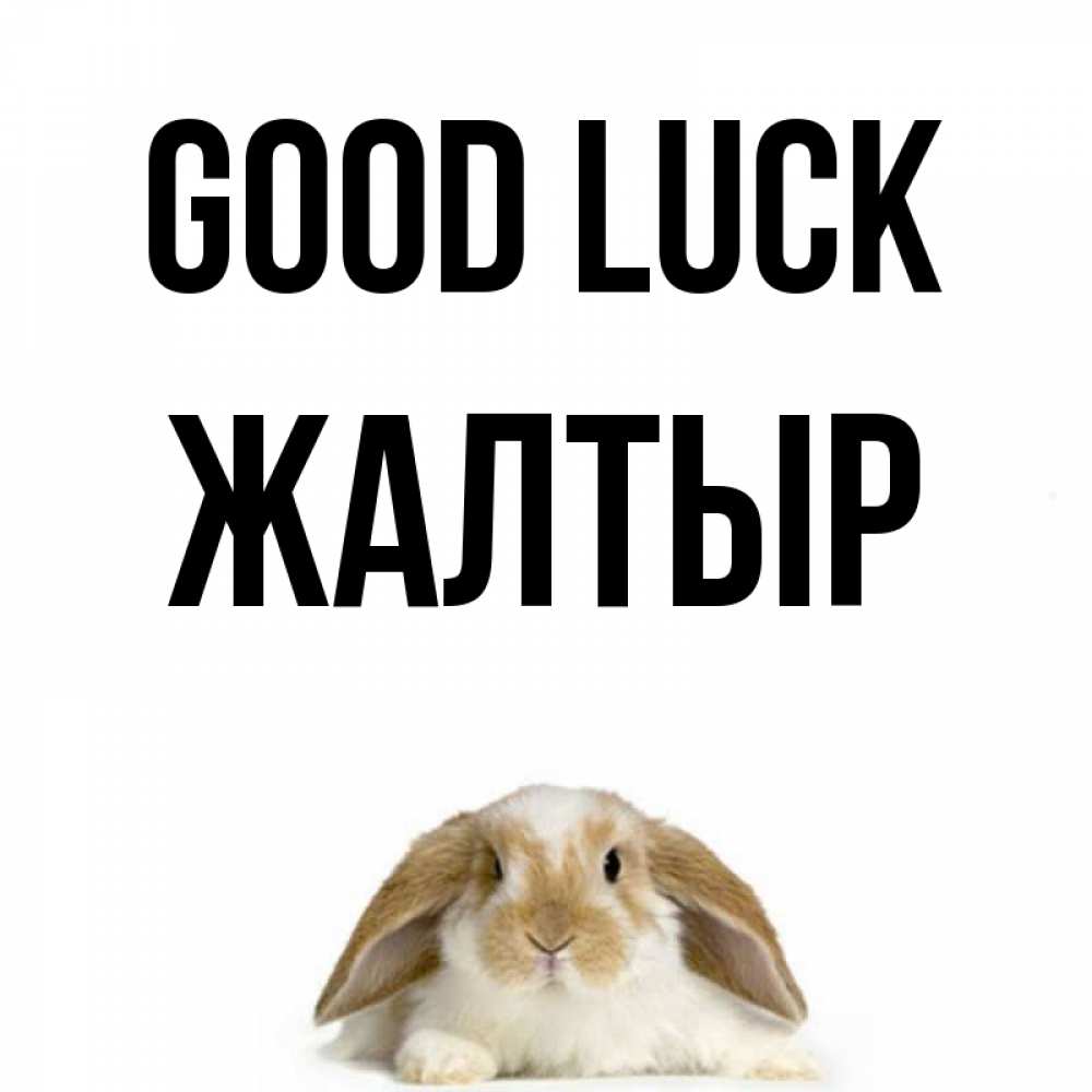 Greetings card с именем, Жалтыр Good luck открытки с произвольным текстом который можно вставить в открытку и создать ее самостоятельно бесплатно онлайн Greetings with text for free download 