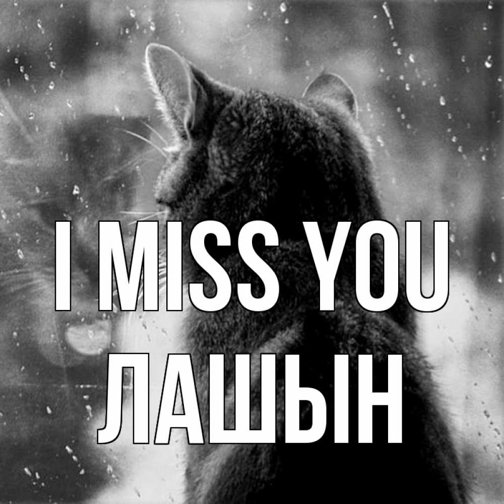 Greetings card с именем, ЛАШЫН I miss you скорее ко мне приходи 1 Greetings with text for free download 