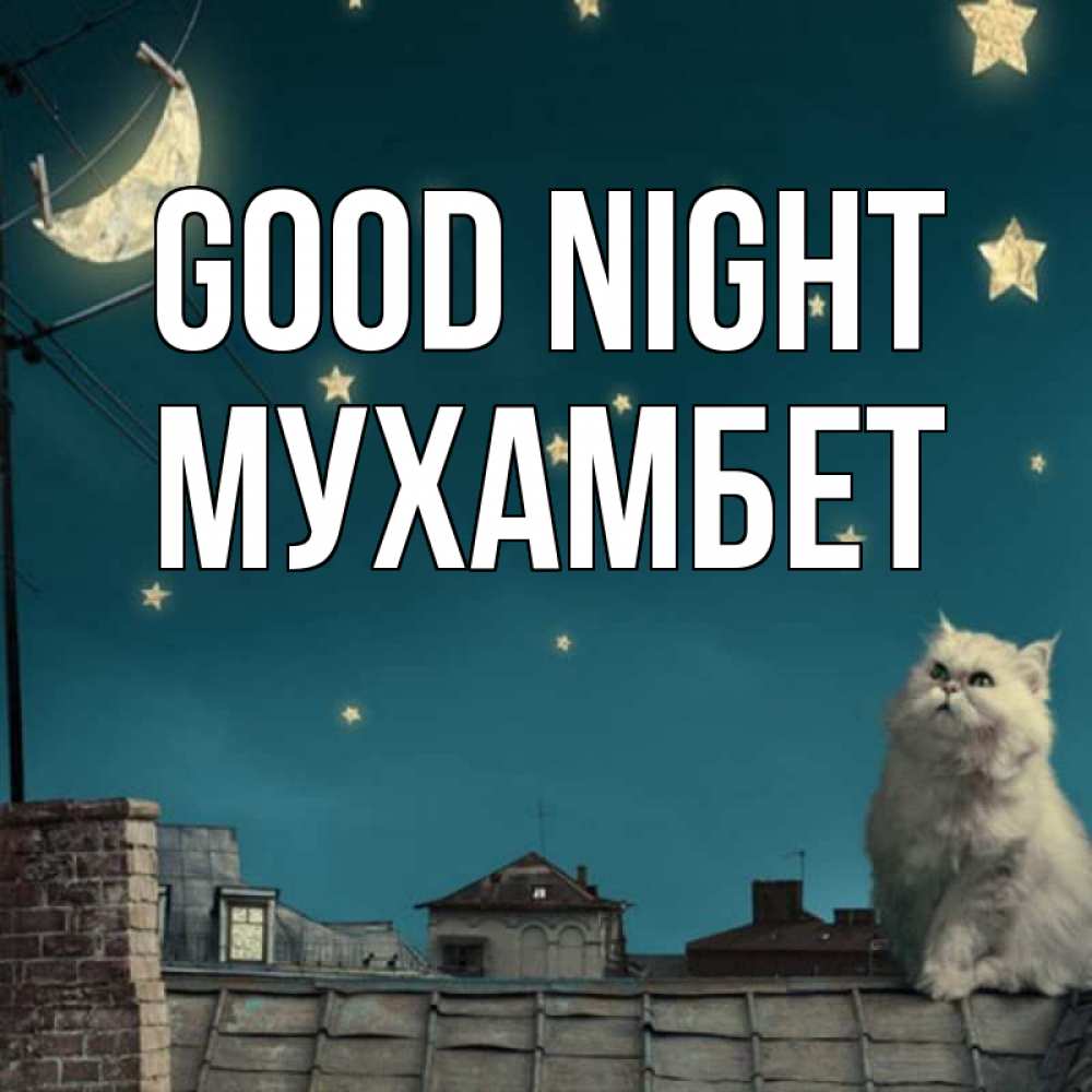 Greetings card с именем, МУХАМБЕТ Good night белый кот сидит на крыше Greetings with text for free download 