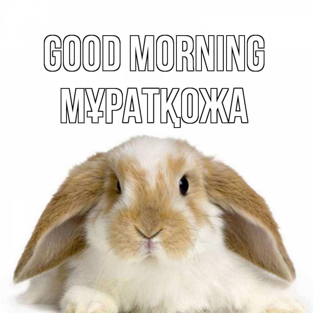 Greetings card с именем, Мұратқожа Good morning прикольные открытки на каждый день Greetings with text for free download 