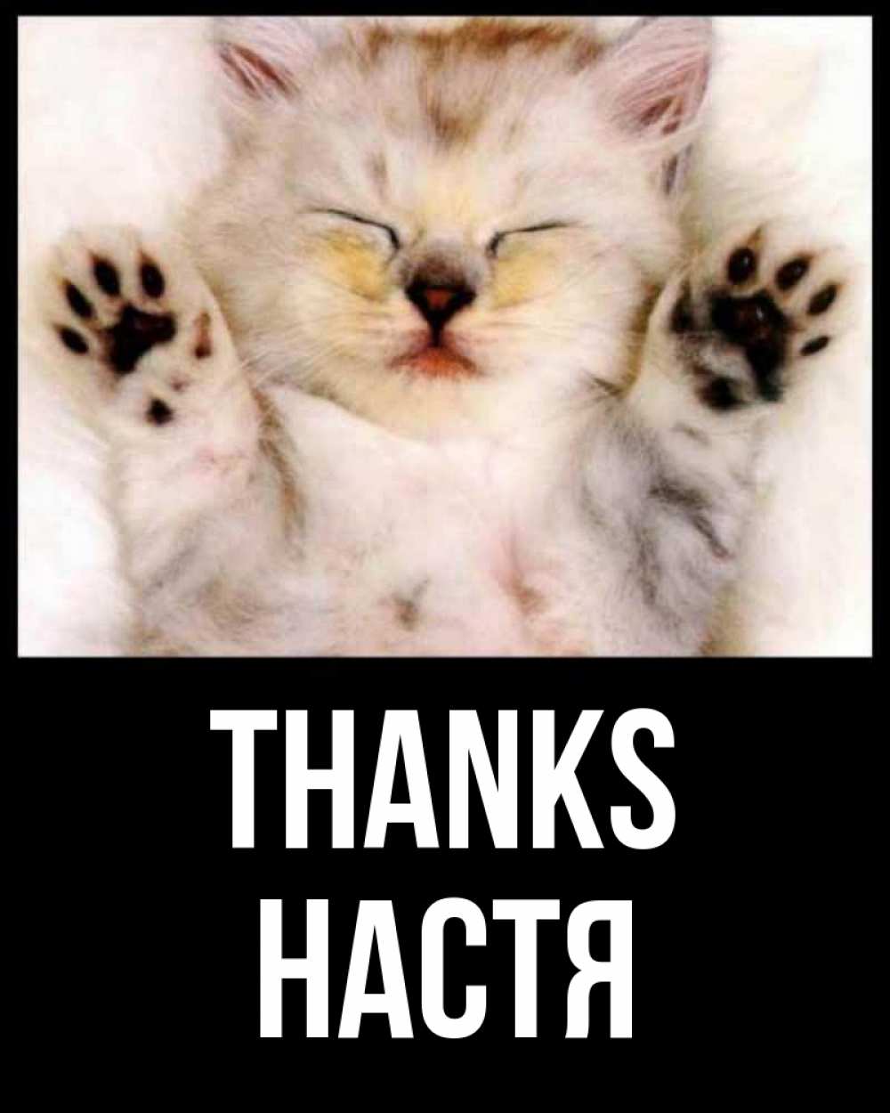 Greetings card с именем, Настя Thanks маленький котенок Greetings with text for free download 
