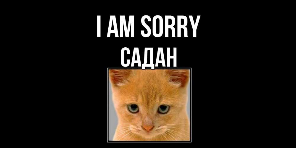 Greetings card с именем, САДАН I am sorry рыжий грустный кот просит прощения Greetings with text for free download 