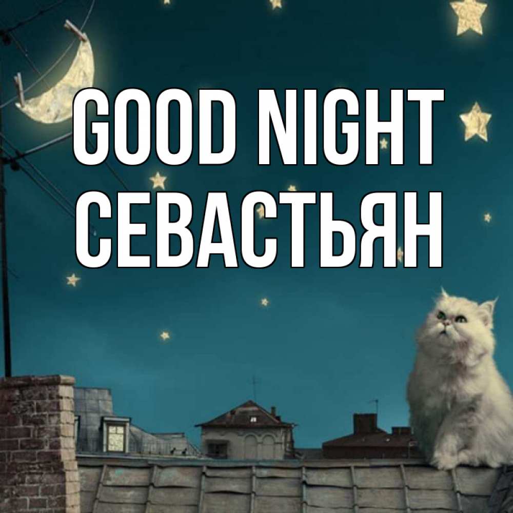 Greetings card с именем, Севастьян Good night белый кот сидит на крыше Greetings with text for free download 